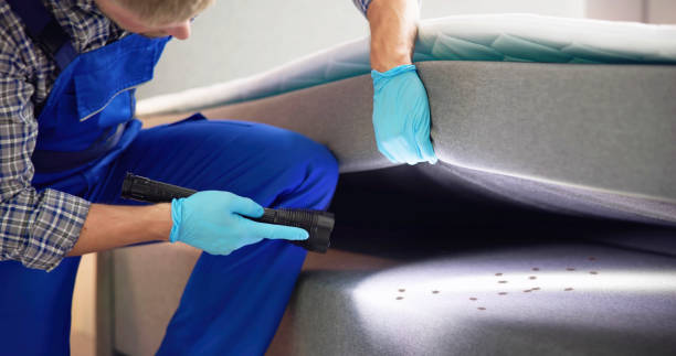 Best Pest Control for Restaurants  in Kansas City, MO