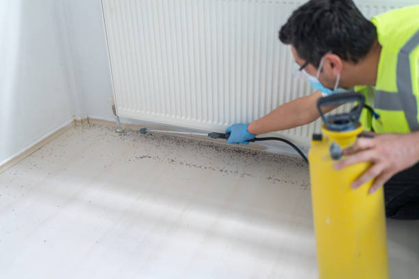 Pest Control Cost in Kansas City, MO